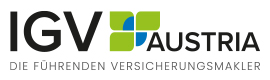 logo_igv_2025
